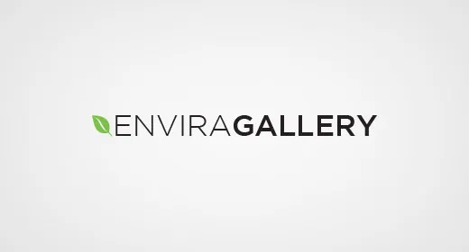 envira gallery 